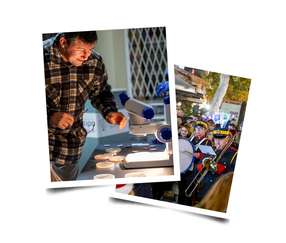 Δήμος Κορδελιού-Ευόσμου