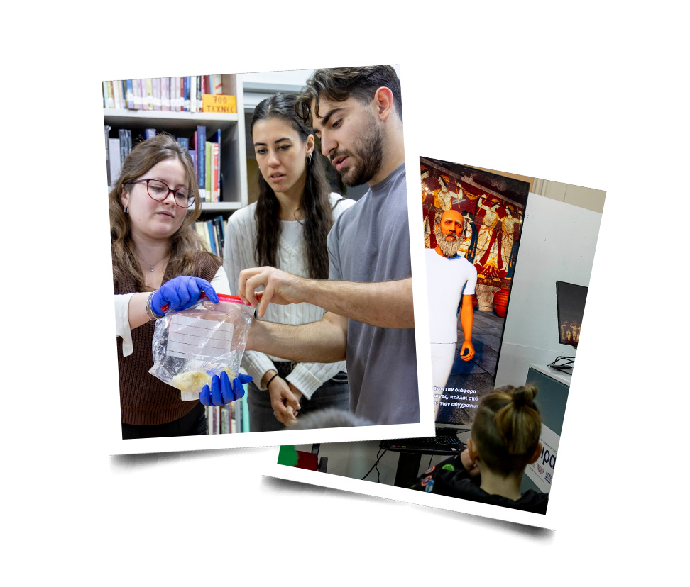 Δήμος Θέρμης